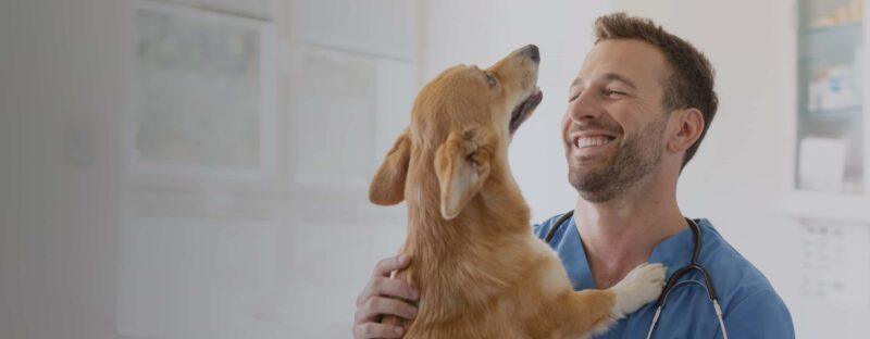 Malphus Contact Our Veterinary Clinic in Thomasville, GA - Clanton Malphus ...